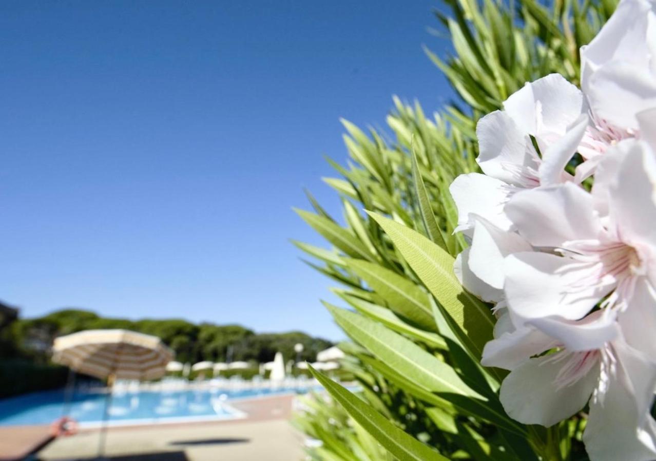 Isa-Apartments 4 Beds In Residence With Swimming-Pool In San Vincenzo, Just 600 Meters From The Sea Buitenkant foto